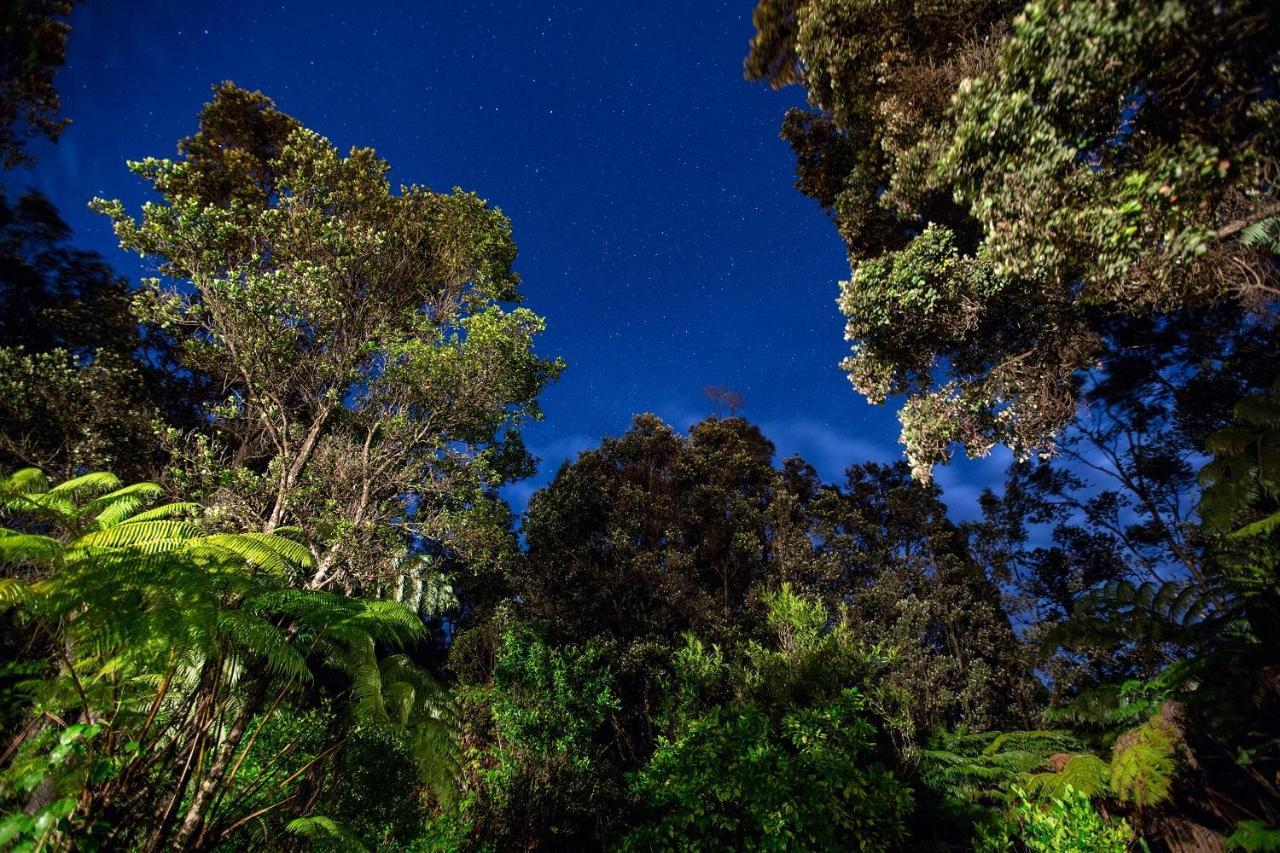 Chalet Kilauea Volcano Dış mekan fotoğraf